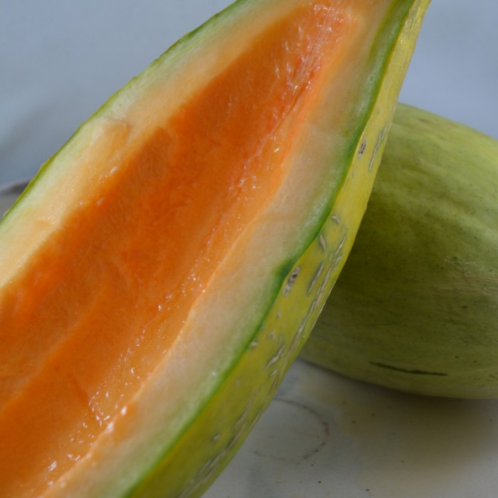 Melon Banana - Semences Jardins de l'Écoumène