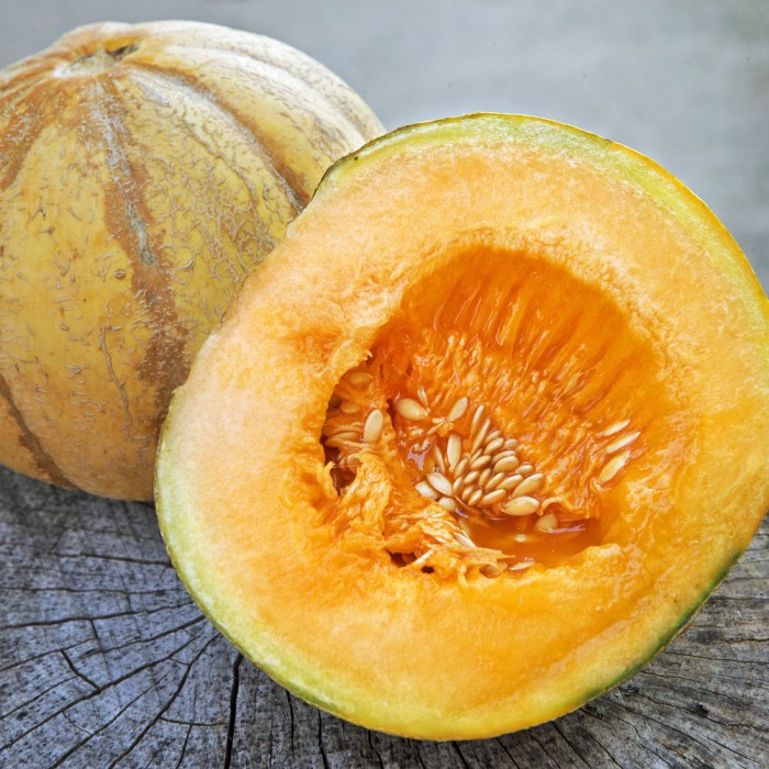 Melon brodé d'Oka - Semences Jardins de l'Écoumène