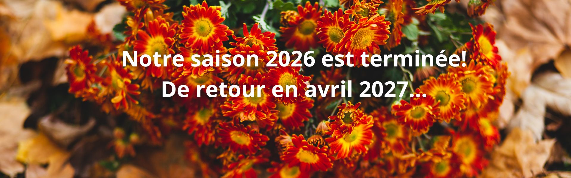ouverture 2025 ouverture 2025