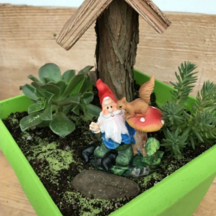 Complet - Atelier pour enfant : Jardin de gnomes